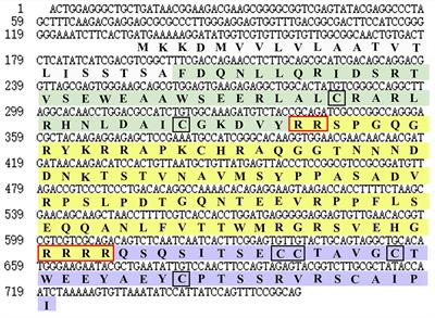 CRISPR/Cas9-mediated mutation on an insulin-like peptide encoding gene affects the growth of the ridgetail white prawn Exopalaemon carinicauda